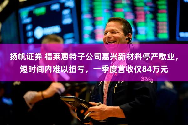 扬帆证券 福莱蒽特子公司嘉兴新材料停产歇业，短时间内难以扭亏，一季度营收仅84万元