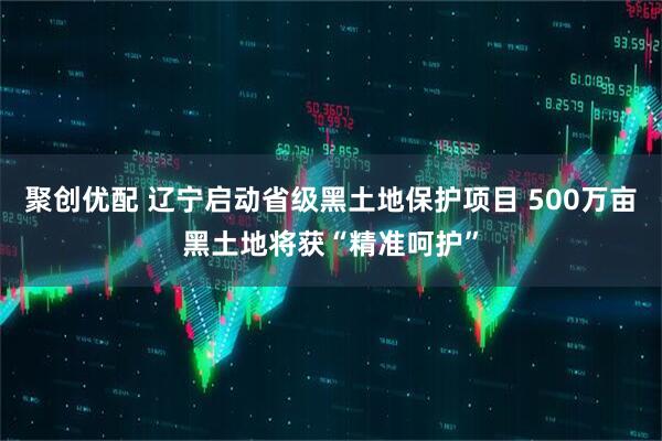 聚创优配 辽宁启动省级黑土地保护项目 500万亩黑土地将获“精准呵护”
